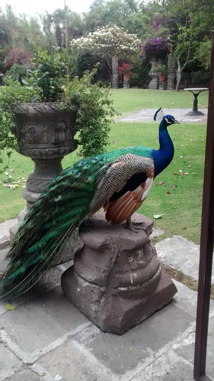 Las Calandrias Hotel Atlixco Esterno foto