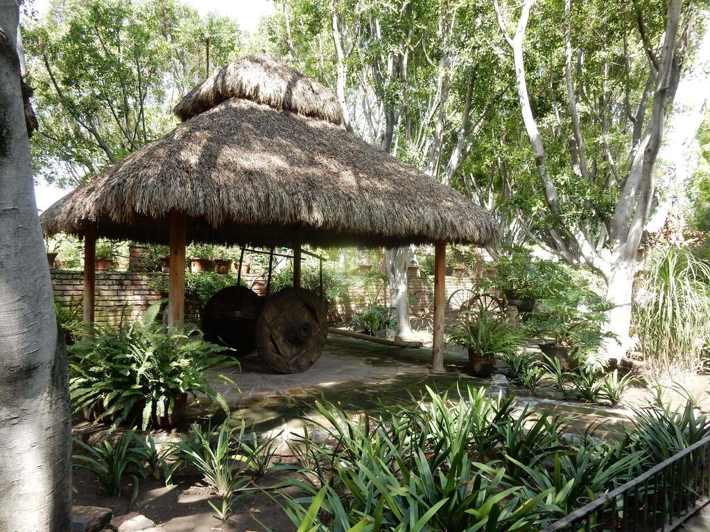 Las Calandrias Hotel Atlixco Esterno foto